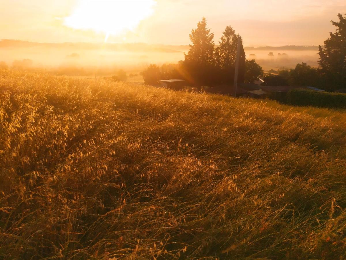 Bed and Breakfast Dago Farmhouse Сієна Екстер'єр фото